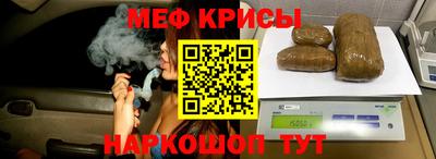 гашик Гатчина