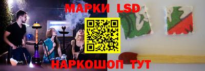 гашик Гатчина