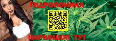 ПСИЛОЦИБИНОВЫЕ ГРИБЫ Гагарин