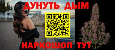 дживик Гай