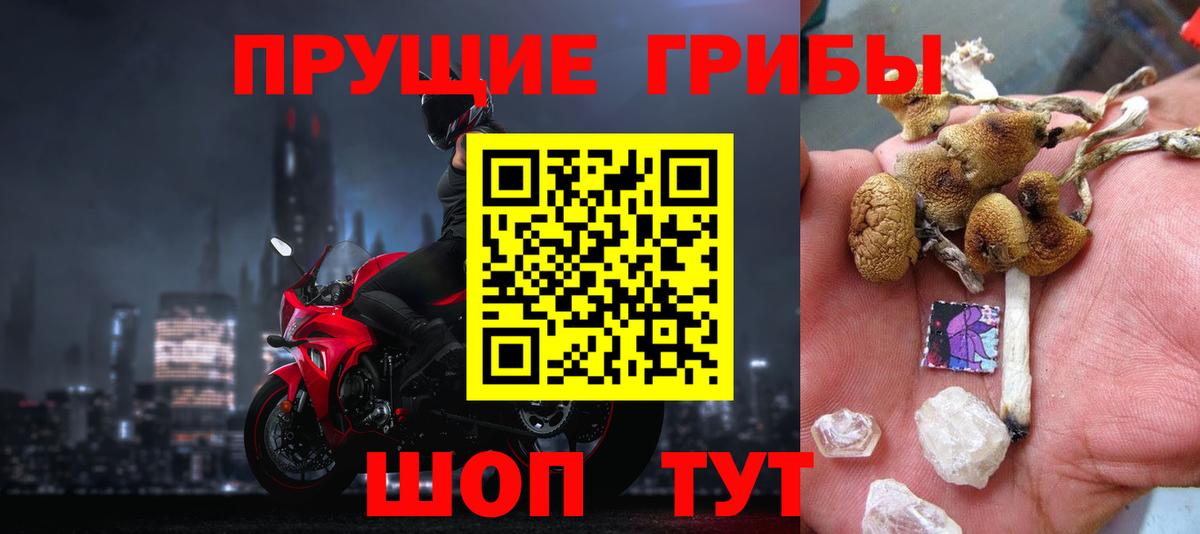 Галлюциногенные грибы прущие грибы  сколько стоит  Вход с VPN  Назарово  Галлюциногенные грибы прущие грибы 