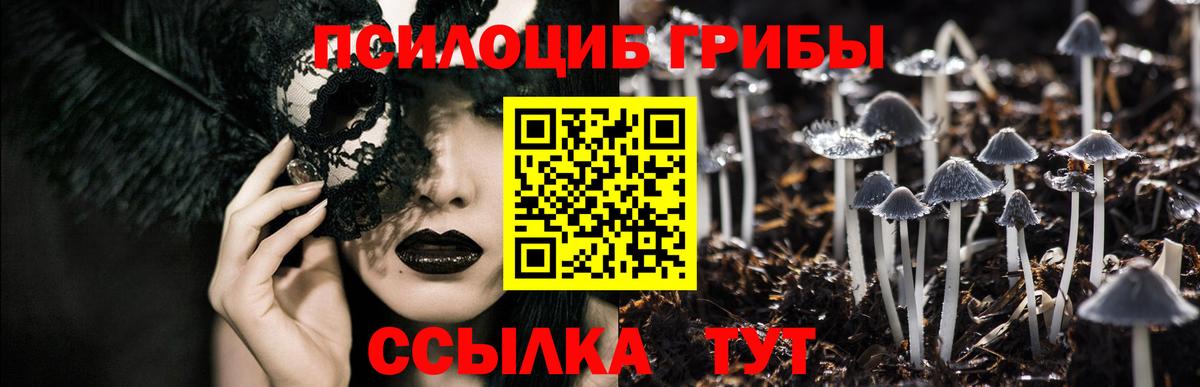 Галлюциногенные грибы Psilocybe Назарово
